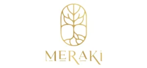 Meraki logo